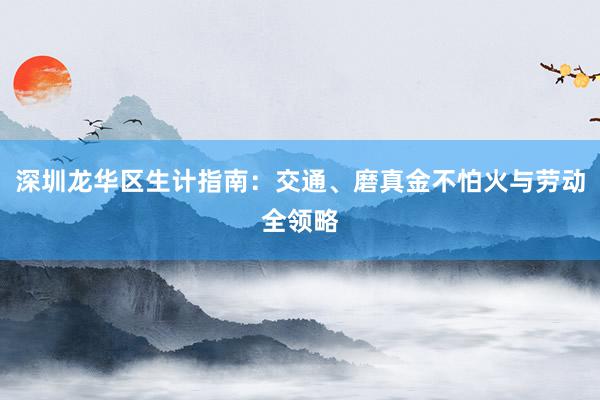 深圳龙华区生计指南：交通、磨真金不怕火与劳动全领略